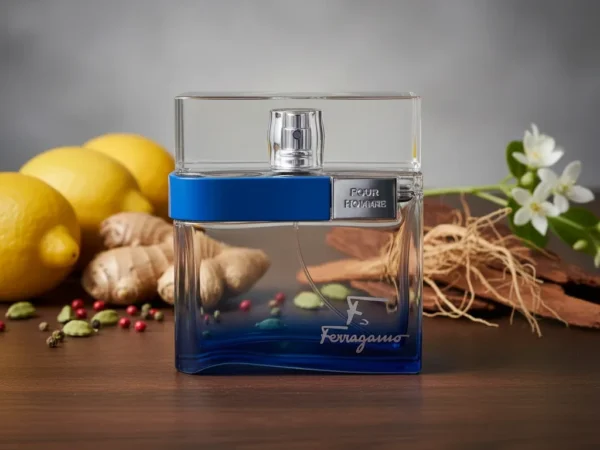 Ferragamo Free Time Pour Homme EDT 100 ml Tester perfume product