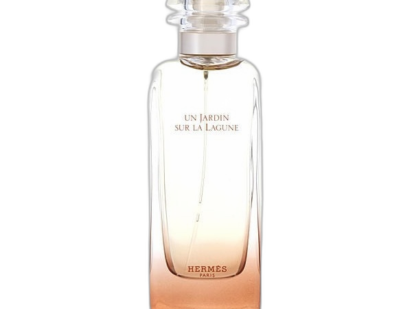 Hermes Un Jardin Sur La Lagune EDT 100 ml Tester perfume product