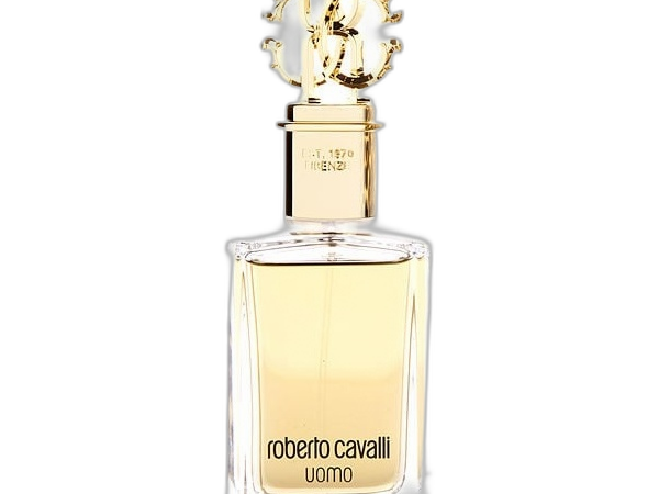 Roberto Cavalli Uomo EDT 100 ml Tester perfume product