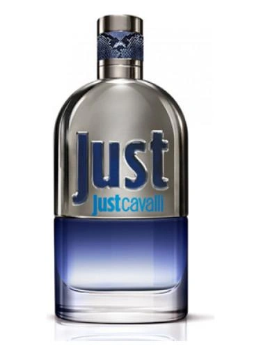 Roberto Cavalli Just Him EDT 90 ml Tester perfume product