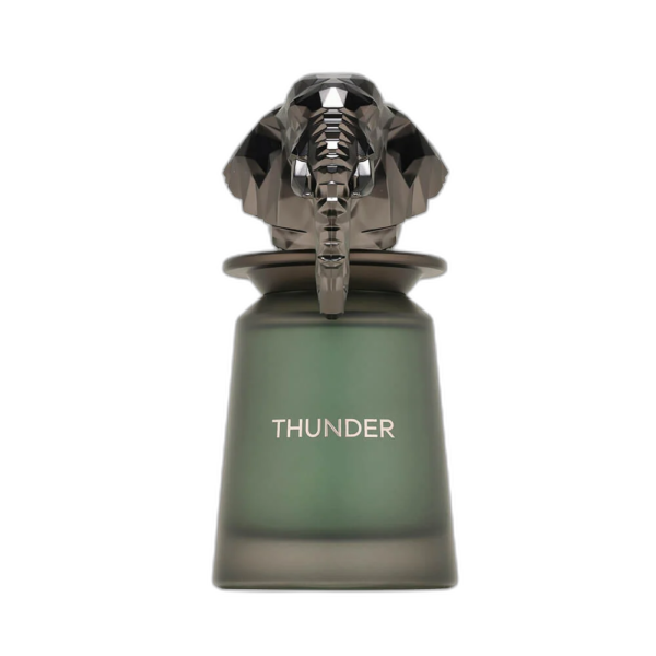French Avenue Thunder 100 ml Retail perfume product